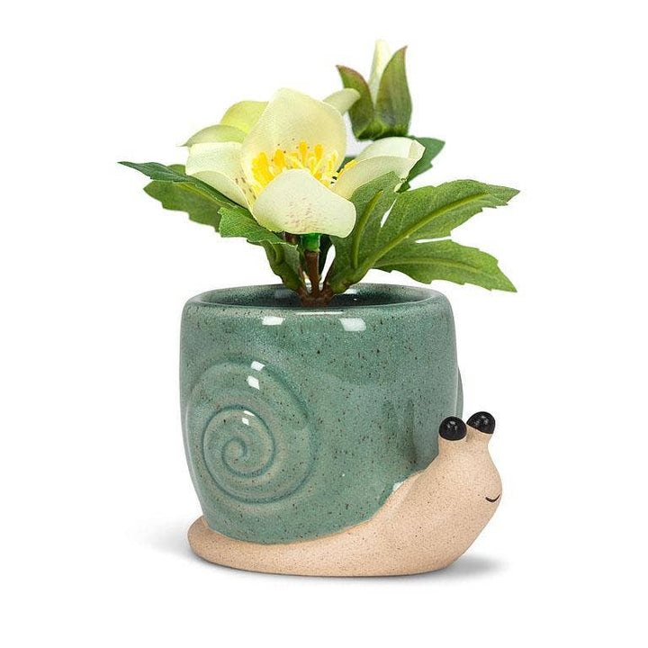 Planter | Snail