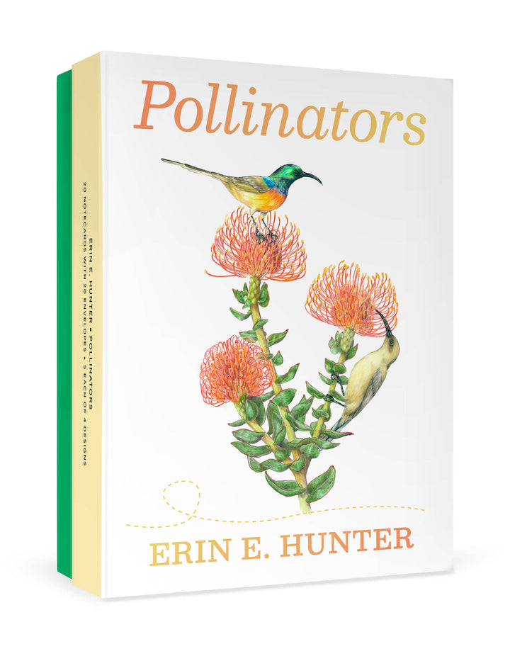 Boxed Notecards | Erin E. Hunter: Pollinators