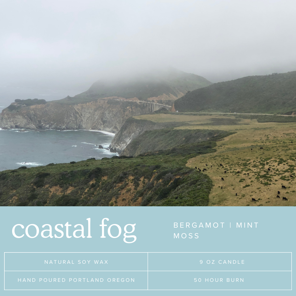 Coastal Fog Soy Candle | 9oz