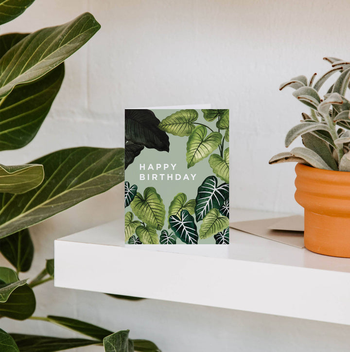 Birthday Card "Alocasia Leaves"