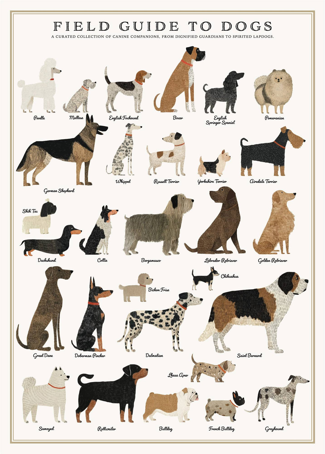 Puzzle | Dogs 500 Pieces