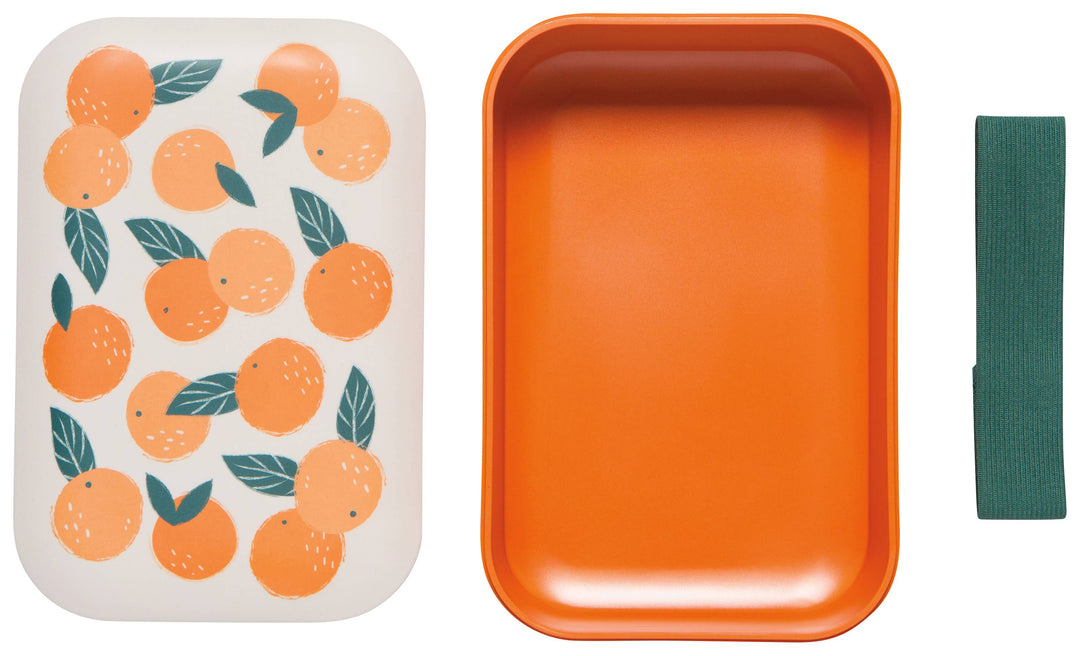 Bento Box | Oranges