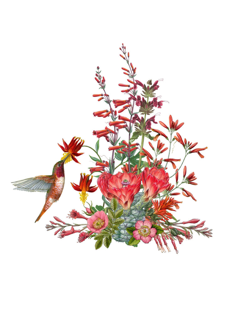 Boxed Notecards | Erin E. Hunter: Pollinators