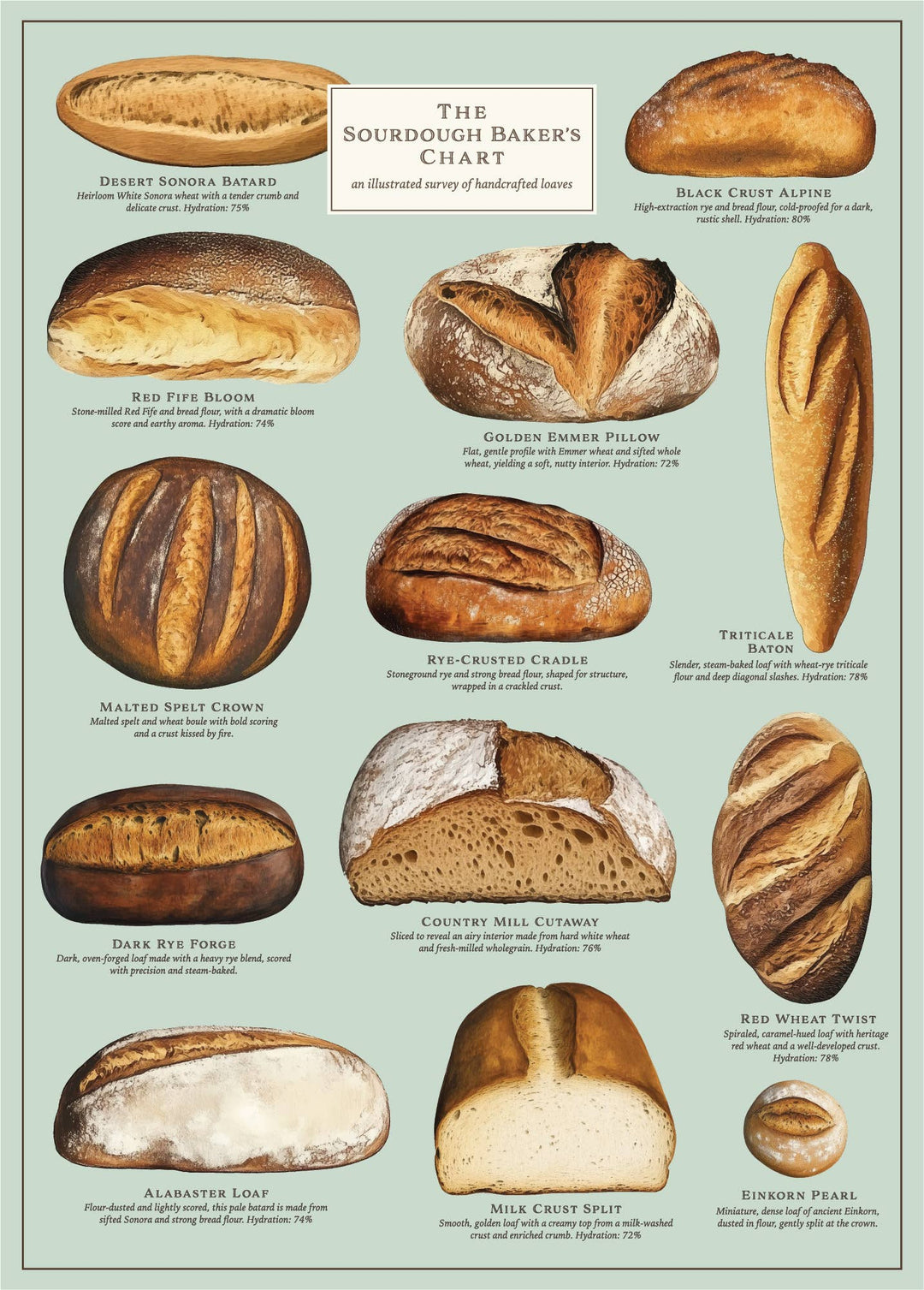 Puzzle | Sourdough 500 Pieces