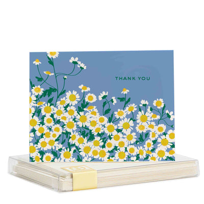 Boxed Thank You Cards "Chamomile Flowers"
