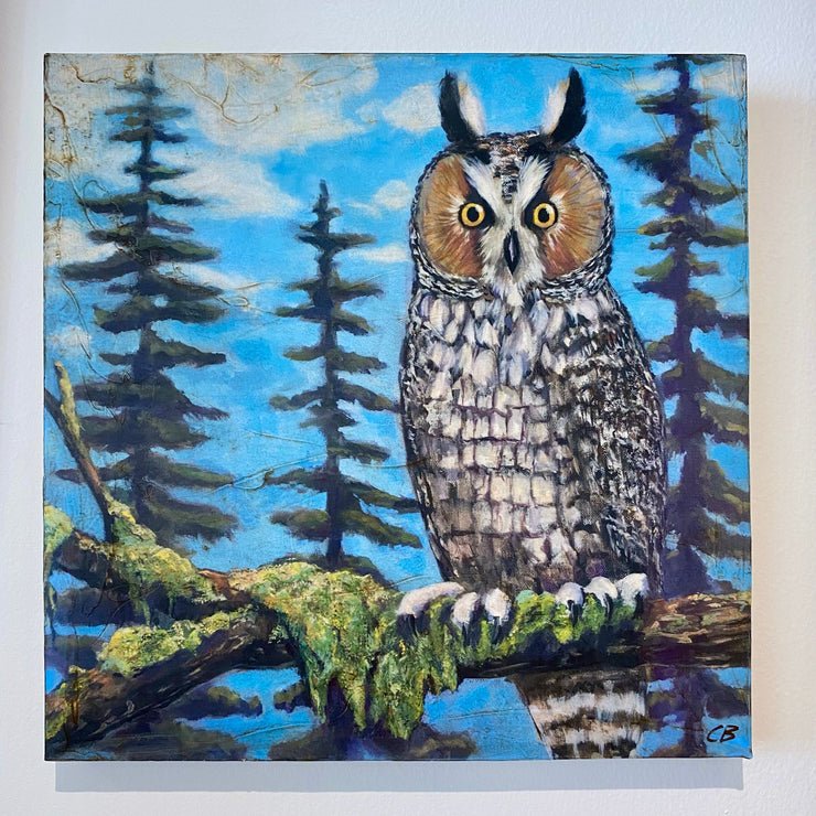 Owl in Tree Art Print