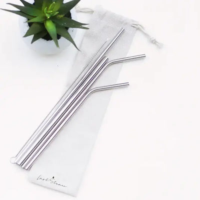 Stainless Steel Straw Set | Silver