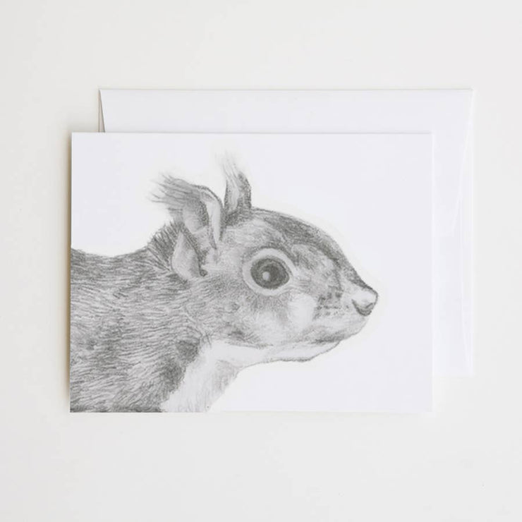 Blank Card "James Willoughby Red Squirrel Cameo"