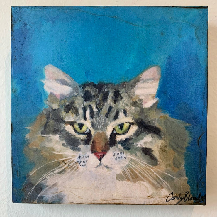 Rocky the Maine Coon Cat Art Print