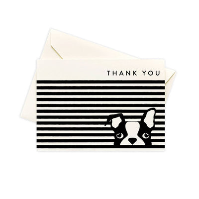 Boxed Thank You Cards "Dog Stripes"