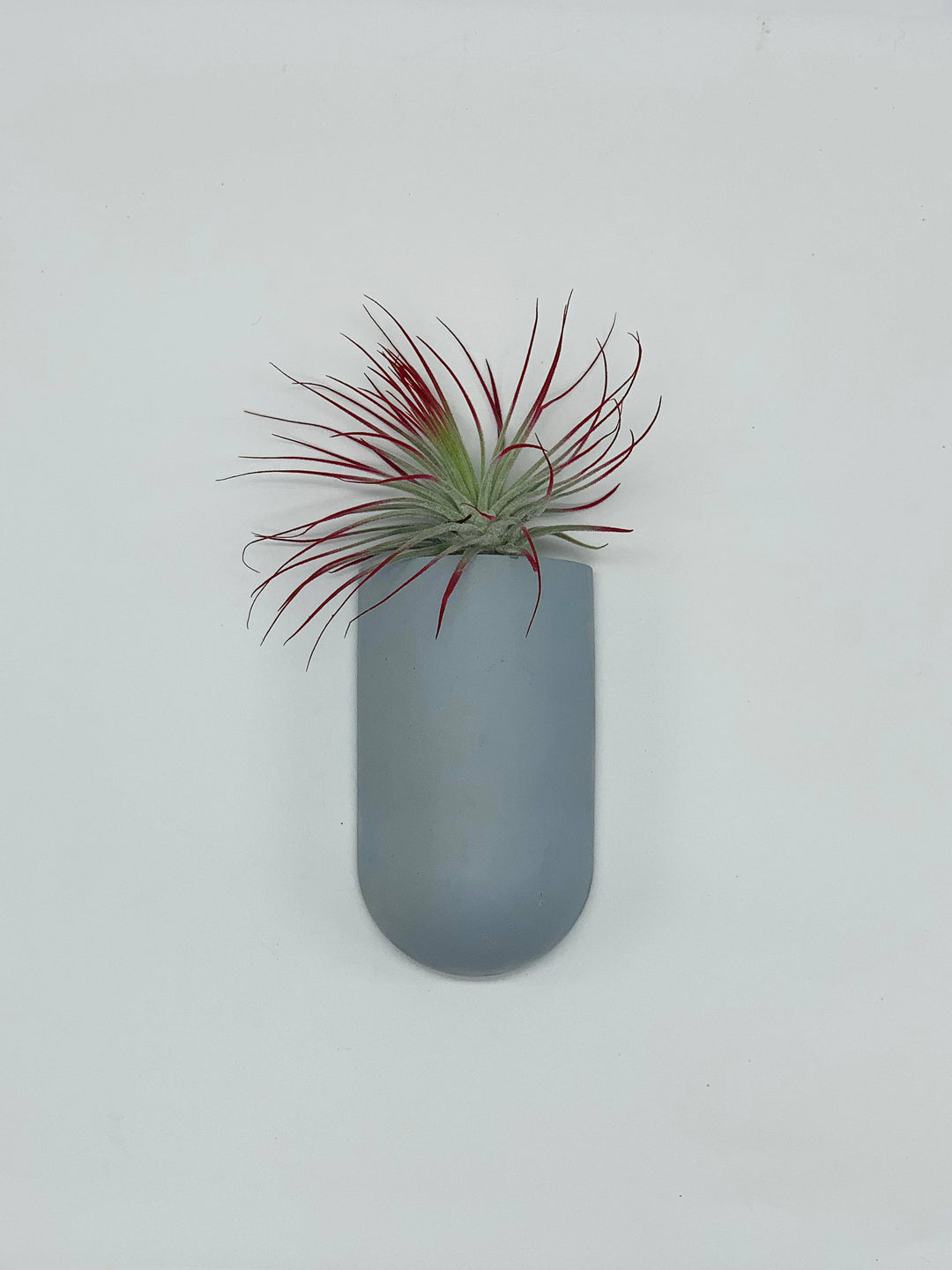 Pocket Wall Planter