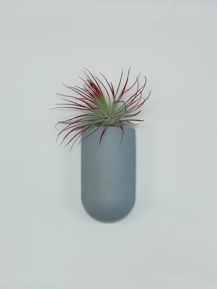 Pocket Wall Planter