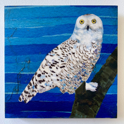 Snowy Owl Wall Art Print