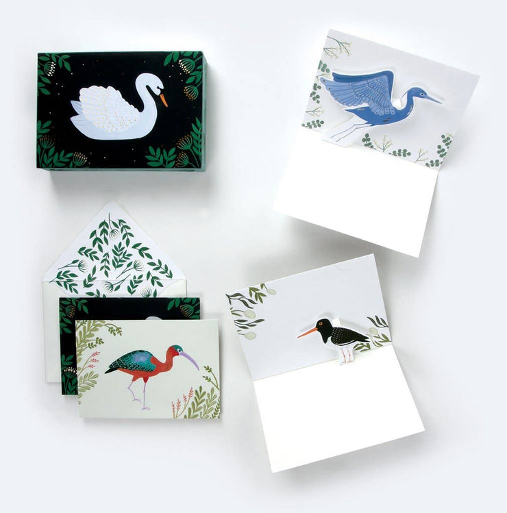 Boxed Pop-up Cards "Birds"