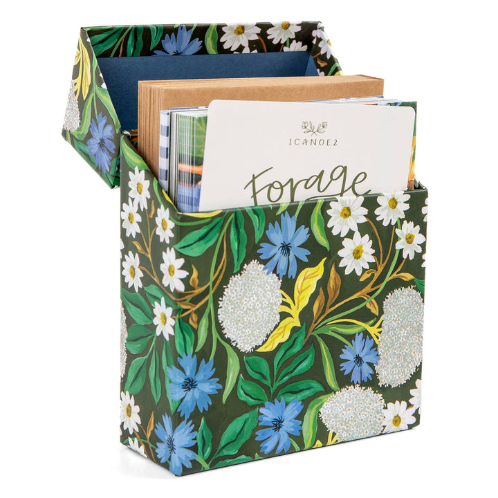 Greeting Card Box Set | Forage